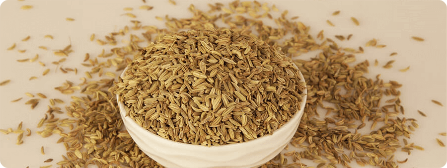 image of Fennel seeds Singapore